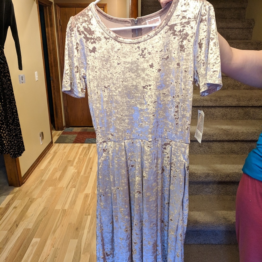 NWT Blush Crushed Velvet Amelia Dress